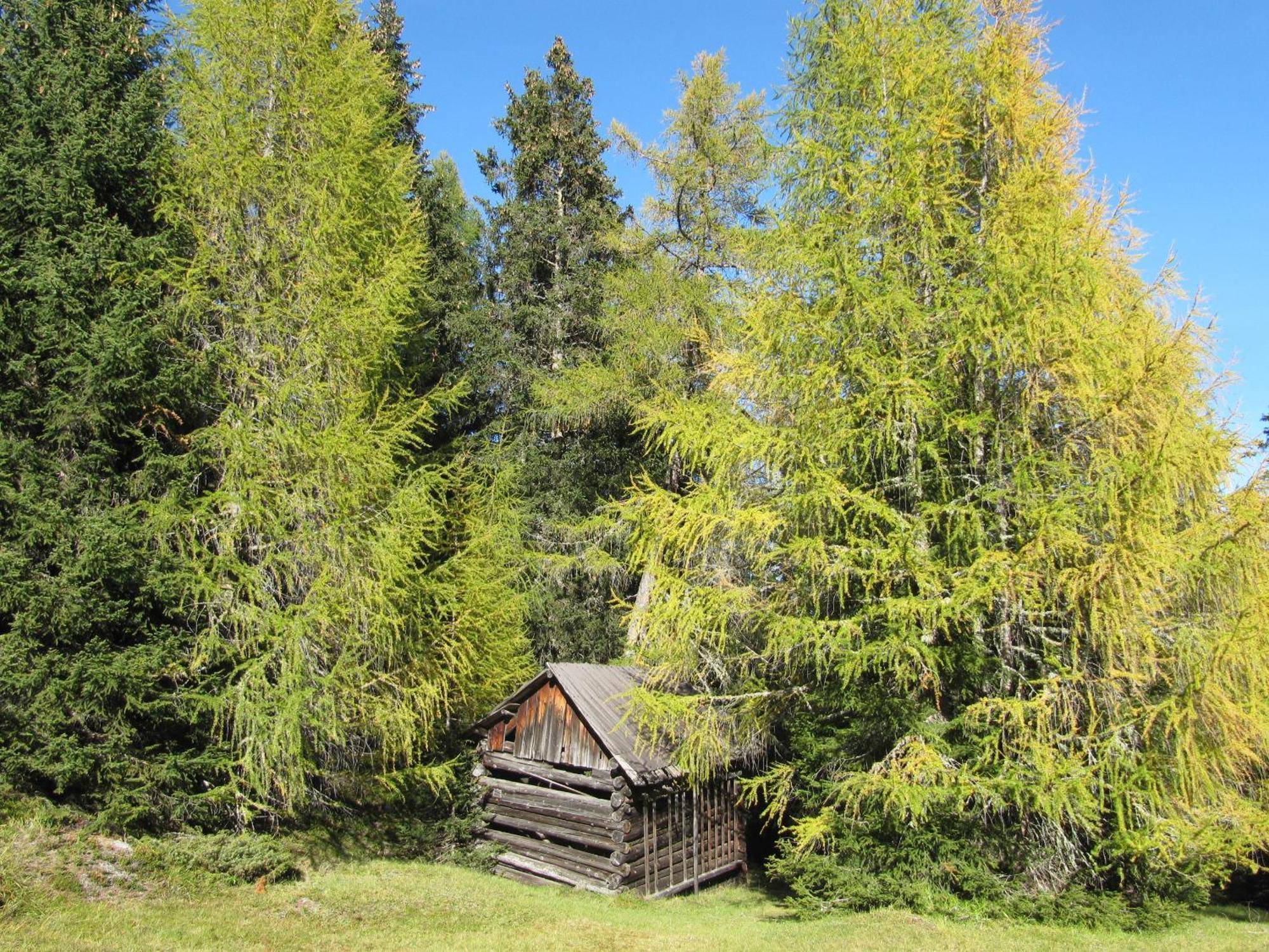 Pepis Ferienwohnungen inklusive Sommercard Jerzens Exterior foto